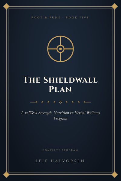 The Shieldwall Plan cover